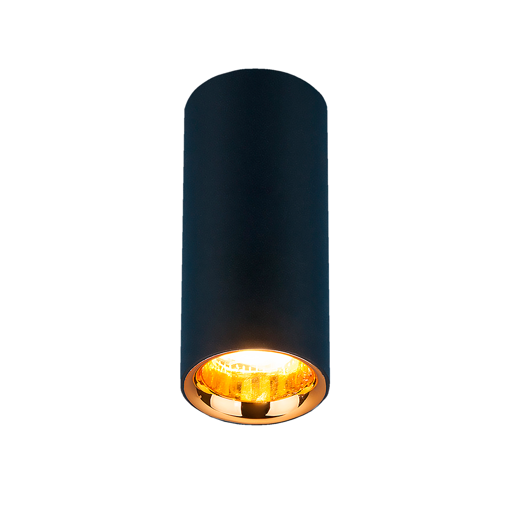 Накладной потолочный светодиодный светильник
DLR030 12W 4200K черный матовый/золото