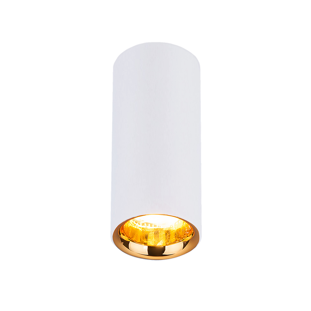 Накладной потолочный светодиодный светильник
DLR030 12W 4200K белый матовый/золото