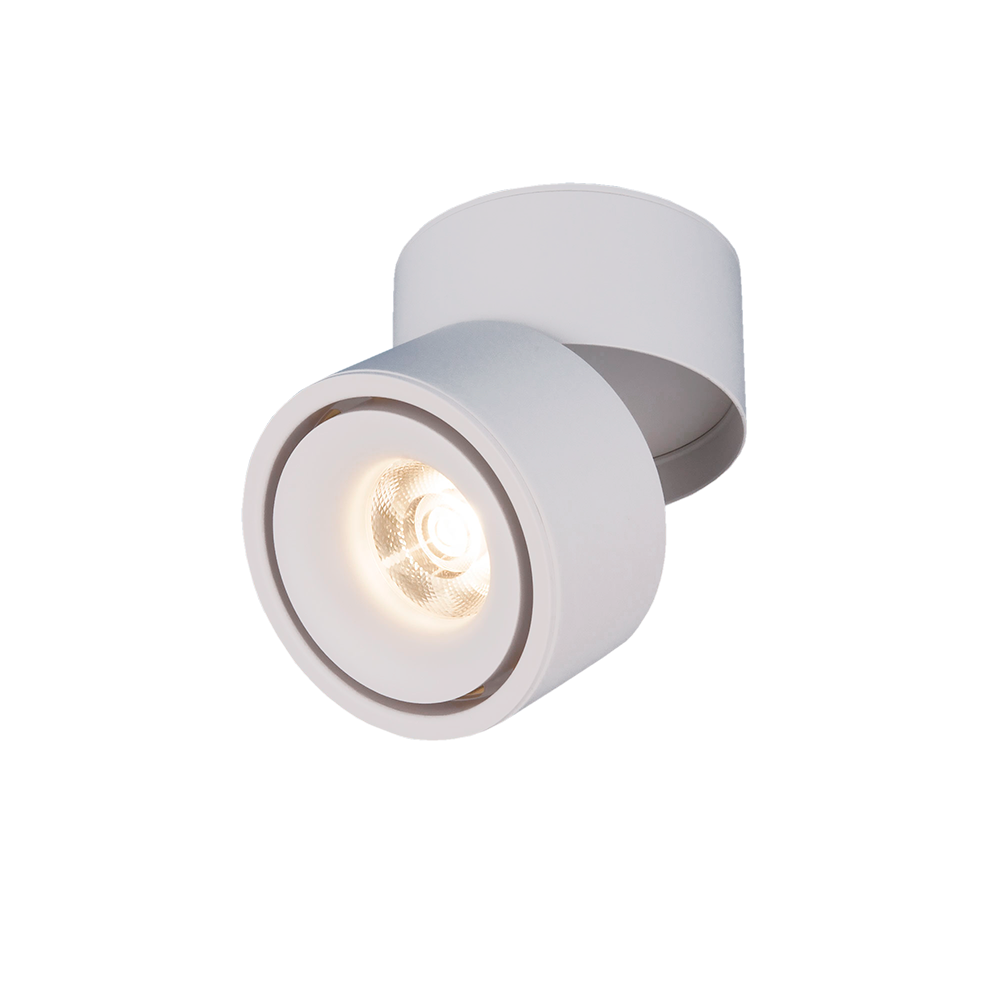 Накладной потолочный светодиодный светильник
DLR031 15W 4200K 3100 белый матовый